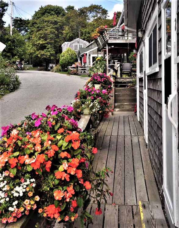 flowers on porch